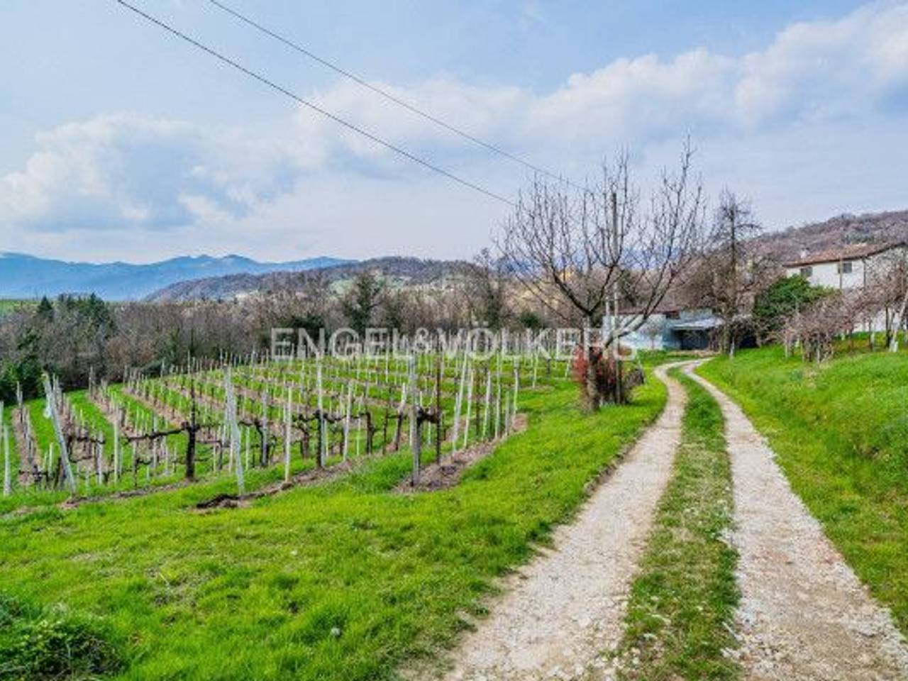 immagine annuncio 6 di 8