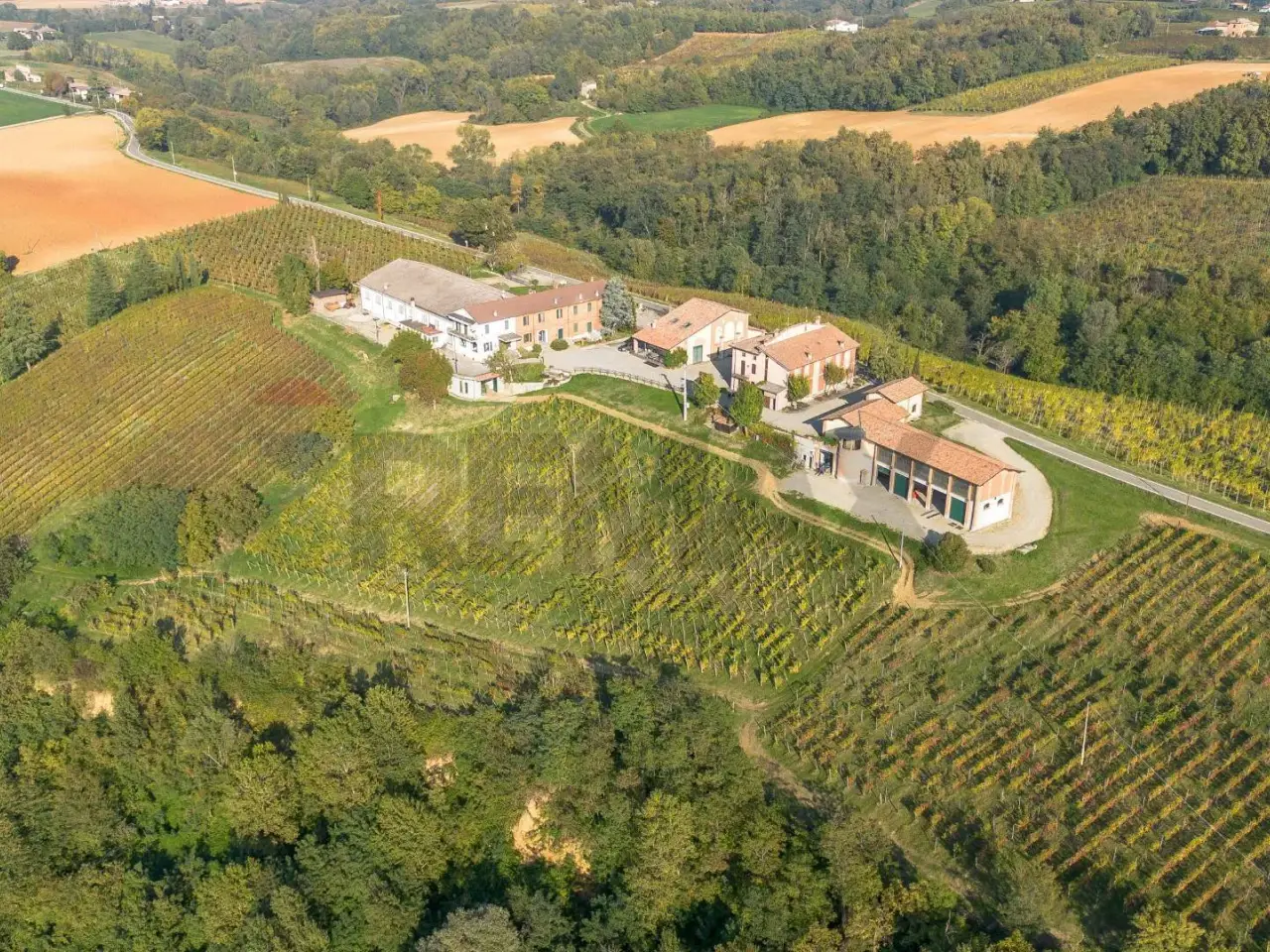 Azienda agricola in Rezzano - Località Boffalora 91, Carpaneto Piacentino, {3} - Foto 1