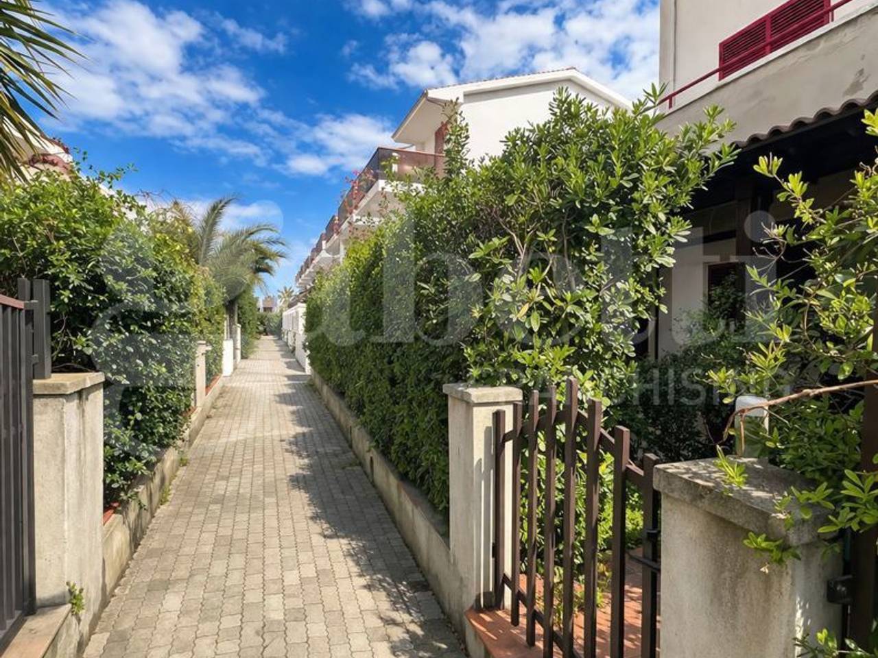 immagine annuncio 2 di 12