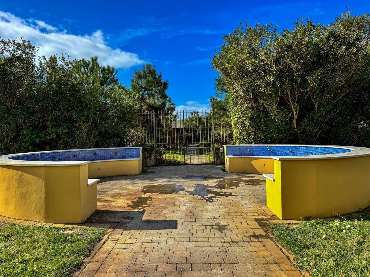 immagine annuncio 6 di 14