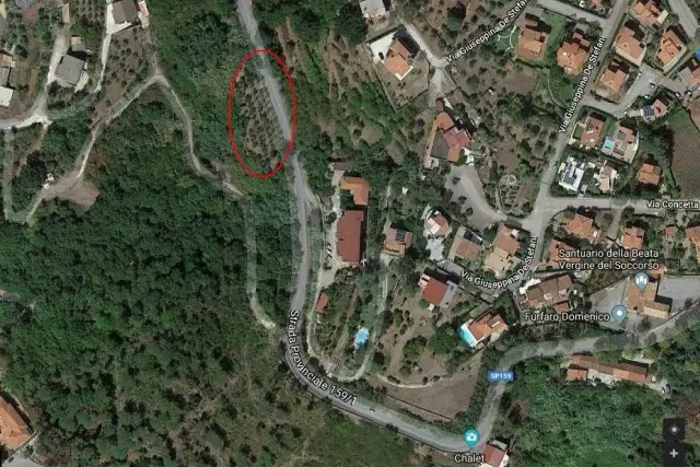 insertion image