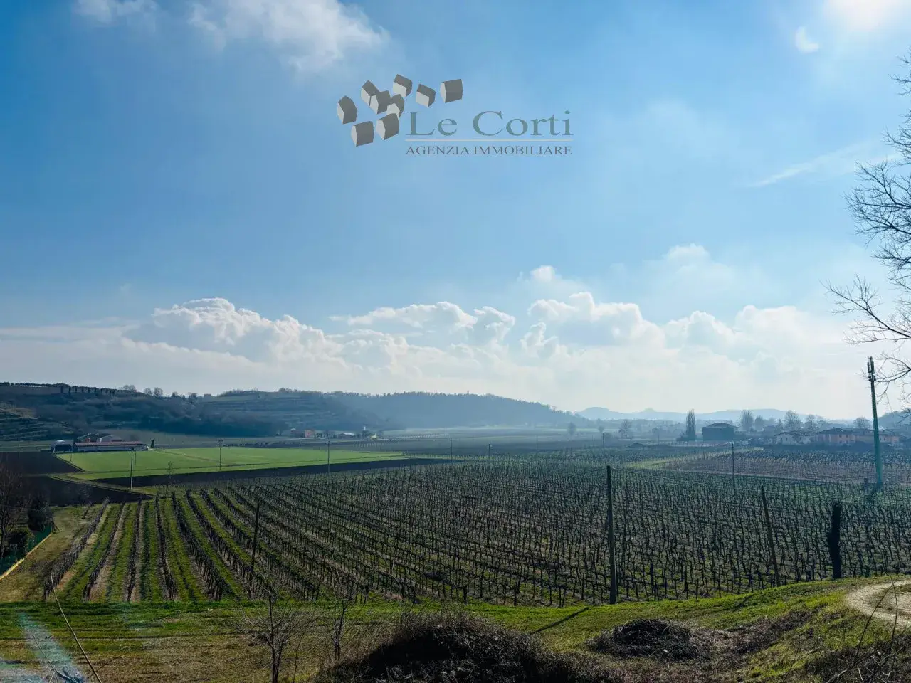 Azienda agricola in , Barbarano Mossano, {3} - Foto 1