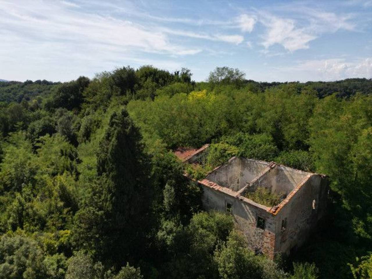 immagine annuncio 1 di 13