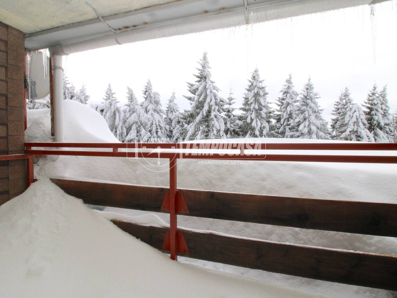 immagine annuncio 10 di 14