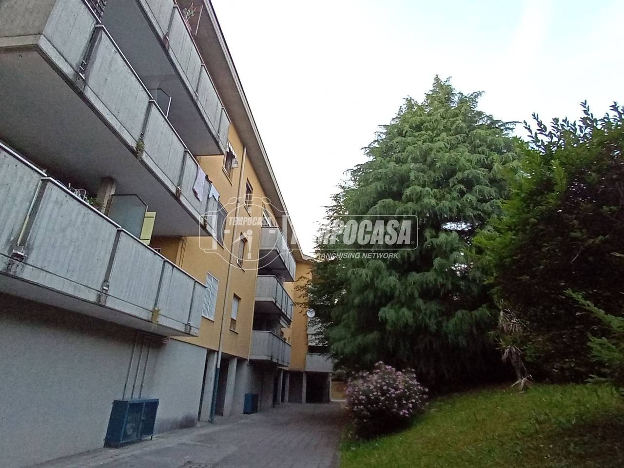 immagine annuncio 8 di 12