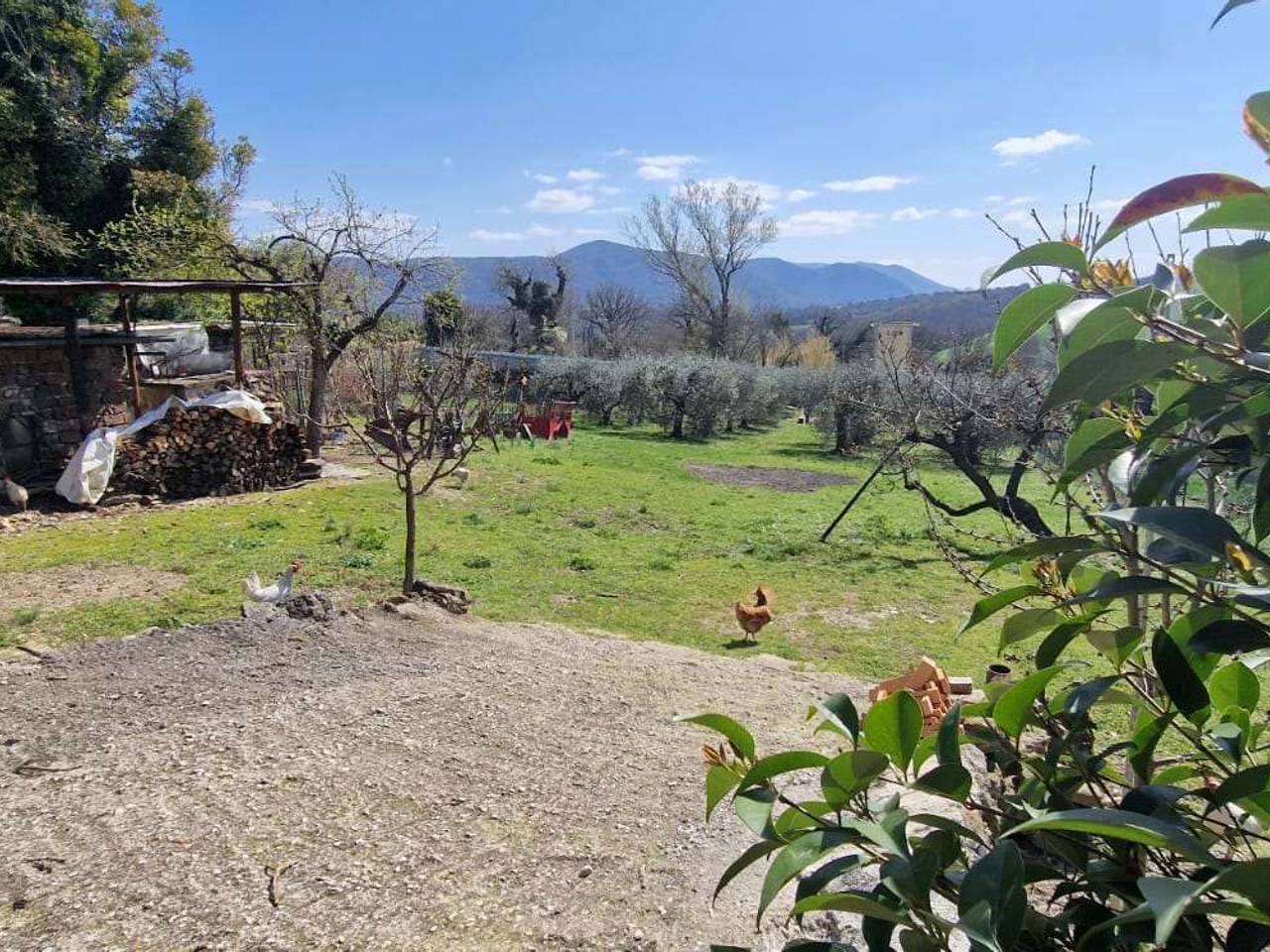 immagine annuncio 1 di 15