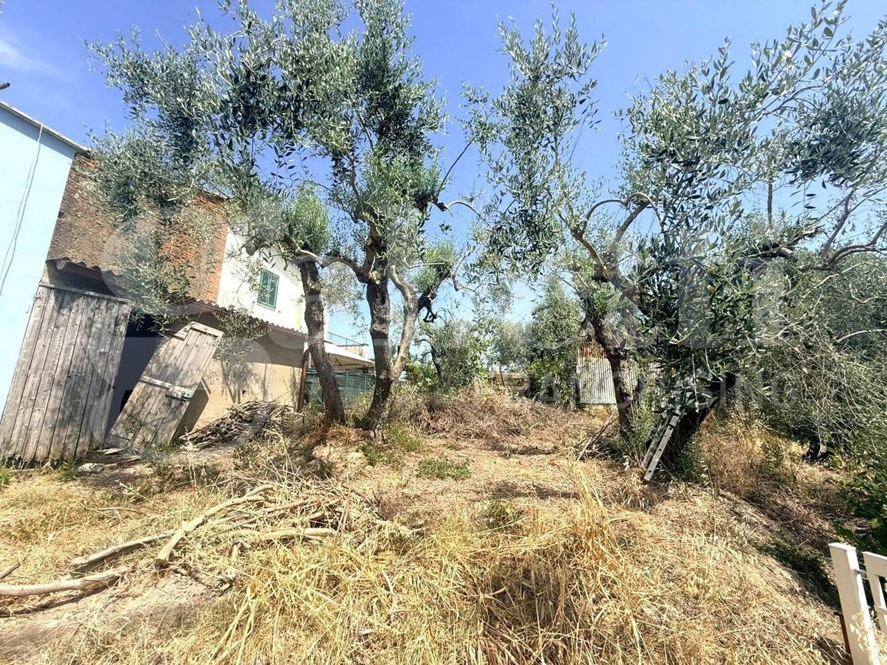 immagine annuncio 1 di 4