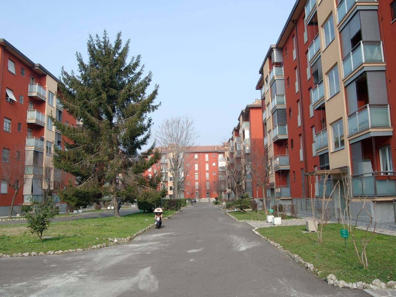 immagine annuncio 4 di 9