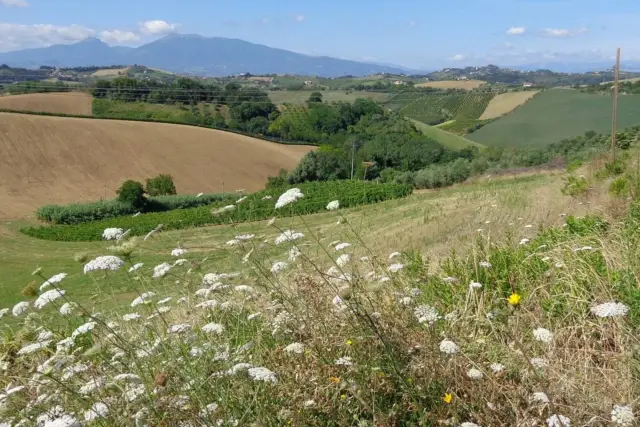 Terreno edificabile, Poggio Torriana - Foto 1