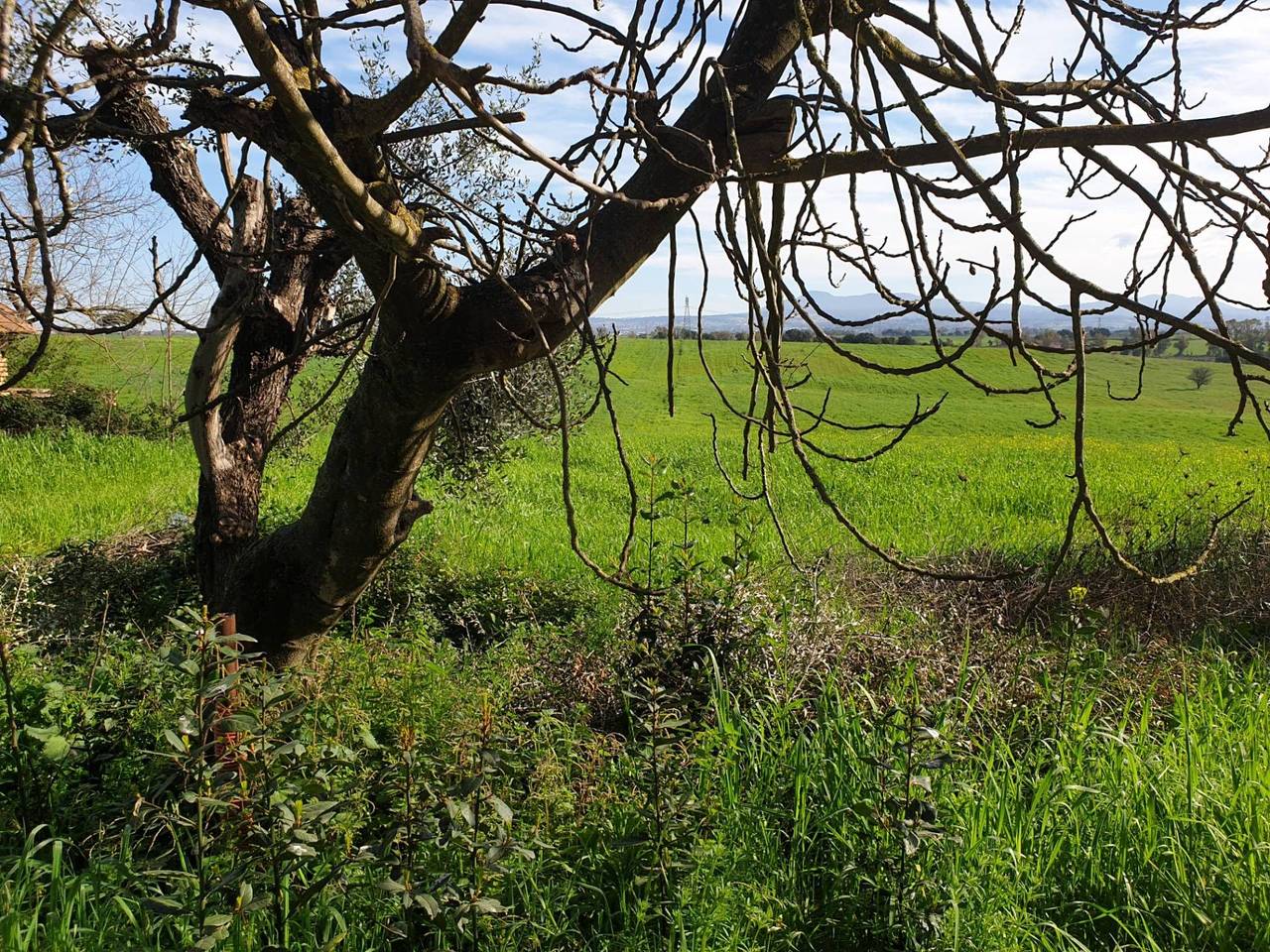 immagine annuncio 10 di 13