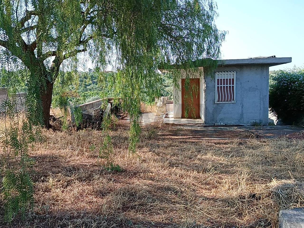 immagine annuncio 3 di 7