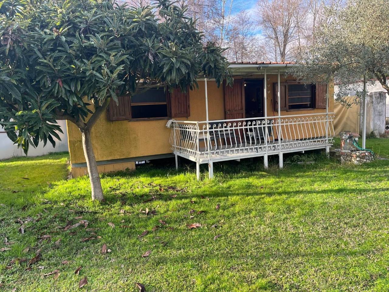 immagine annuncio 2 di 14