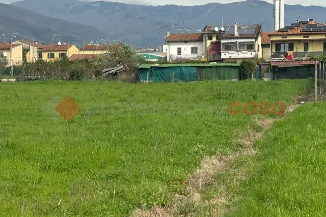 insertion image