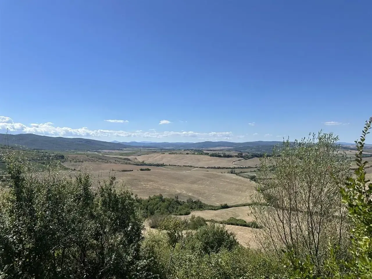 Azienda agricola in , Montalcino, {3} - Foto 1