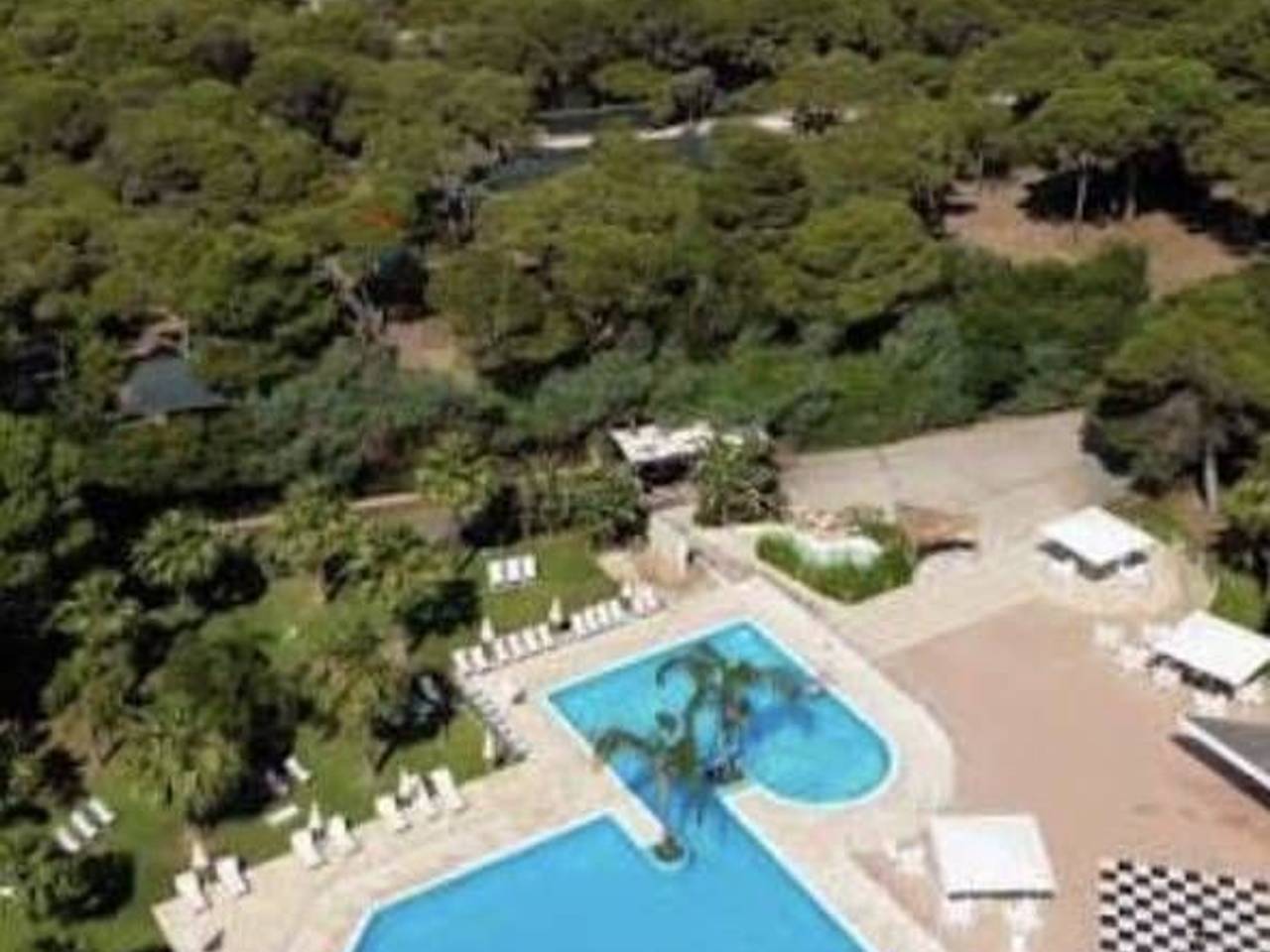 immagine annuncio 7 di 14