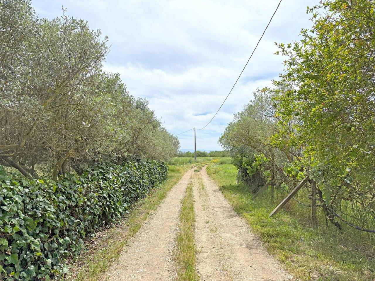 immagine annuncio 4 di 6