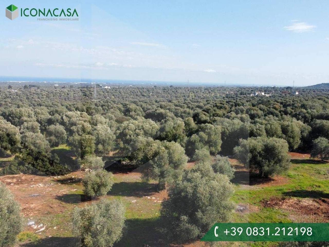 immagine annuncio 6 di 9