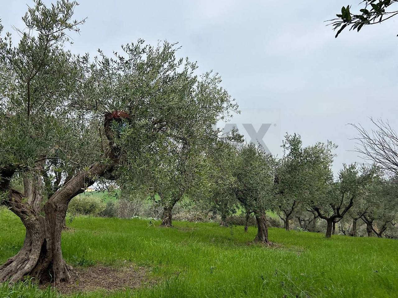 immagine annuncio 4 di 7