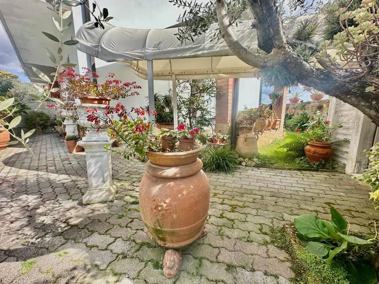 immagine annuncio 11 di 15