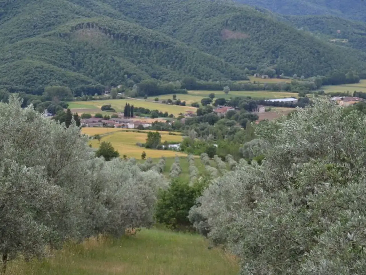 Esercizio commerciale in , Citta' Di Castello, {3} - Foto 2