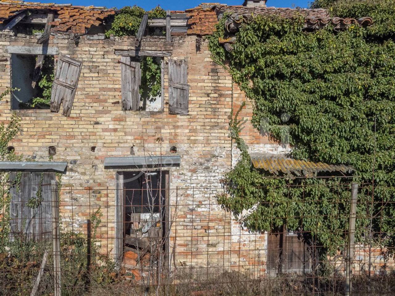 immagine annuncio 11 di 12