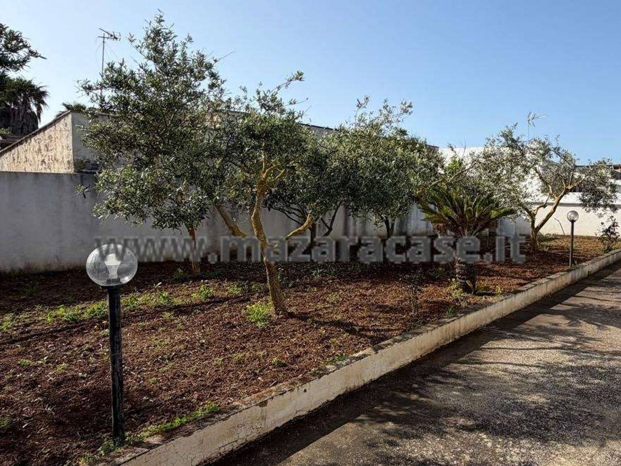 immagine annuncio 3 di 12