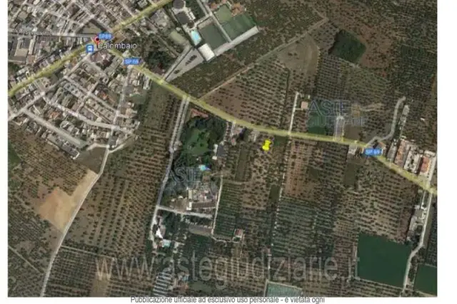 insertion image