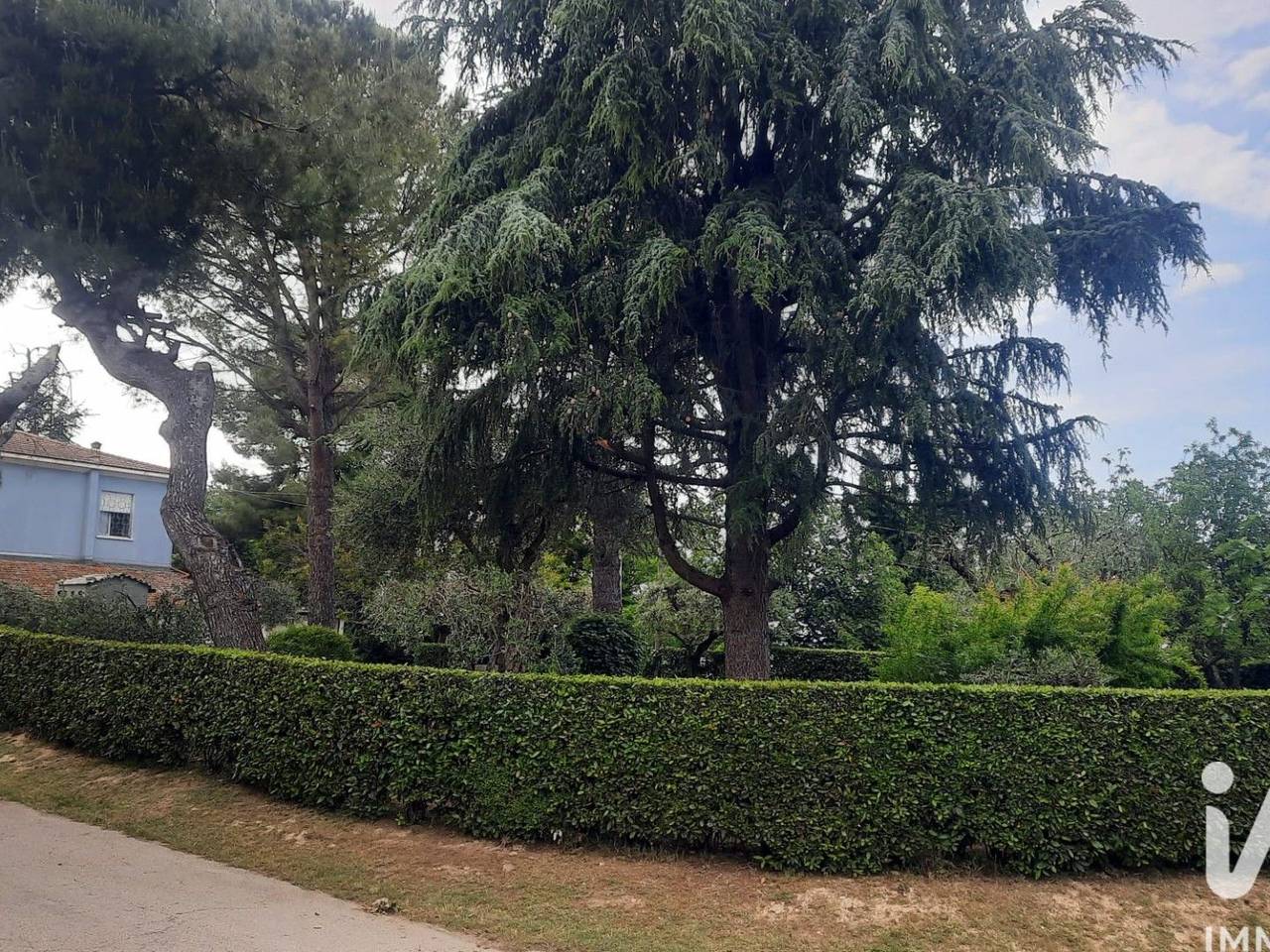 immagine annuncio 4 di 14
