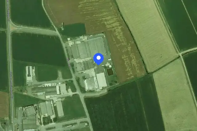 insertion image