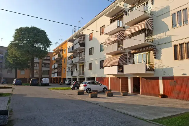 insertion image