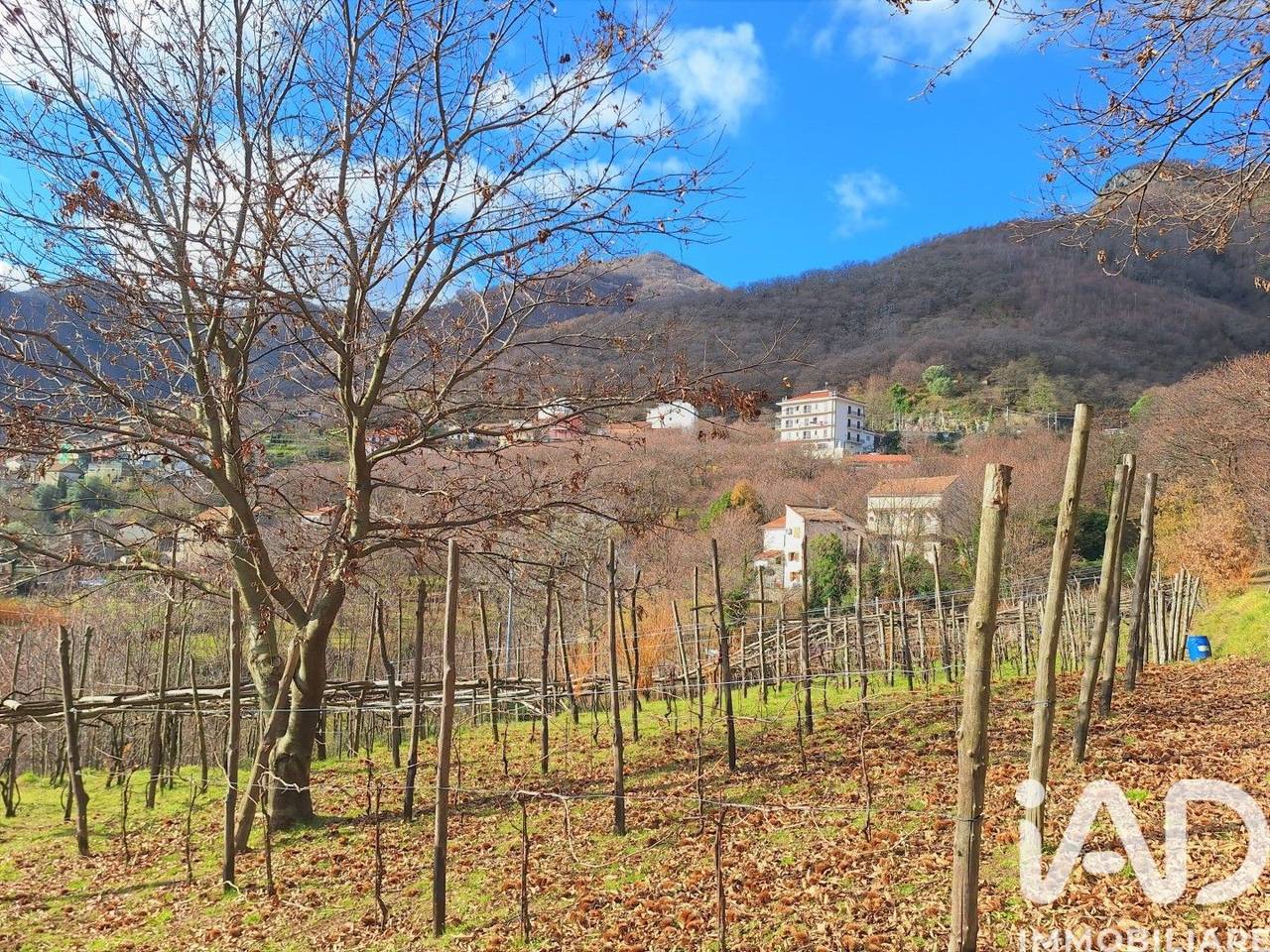 immagine annuncio 13 di 15