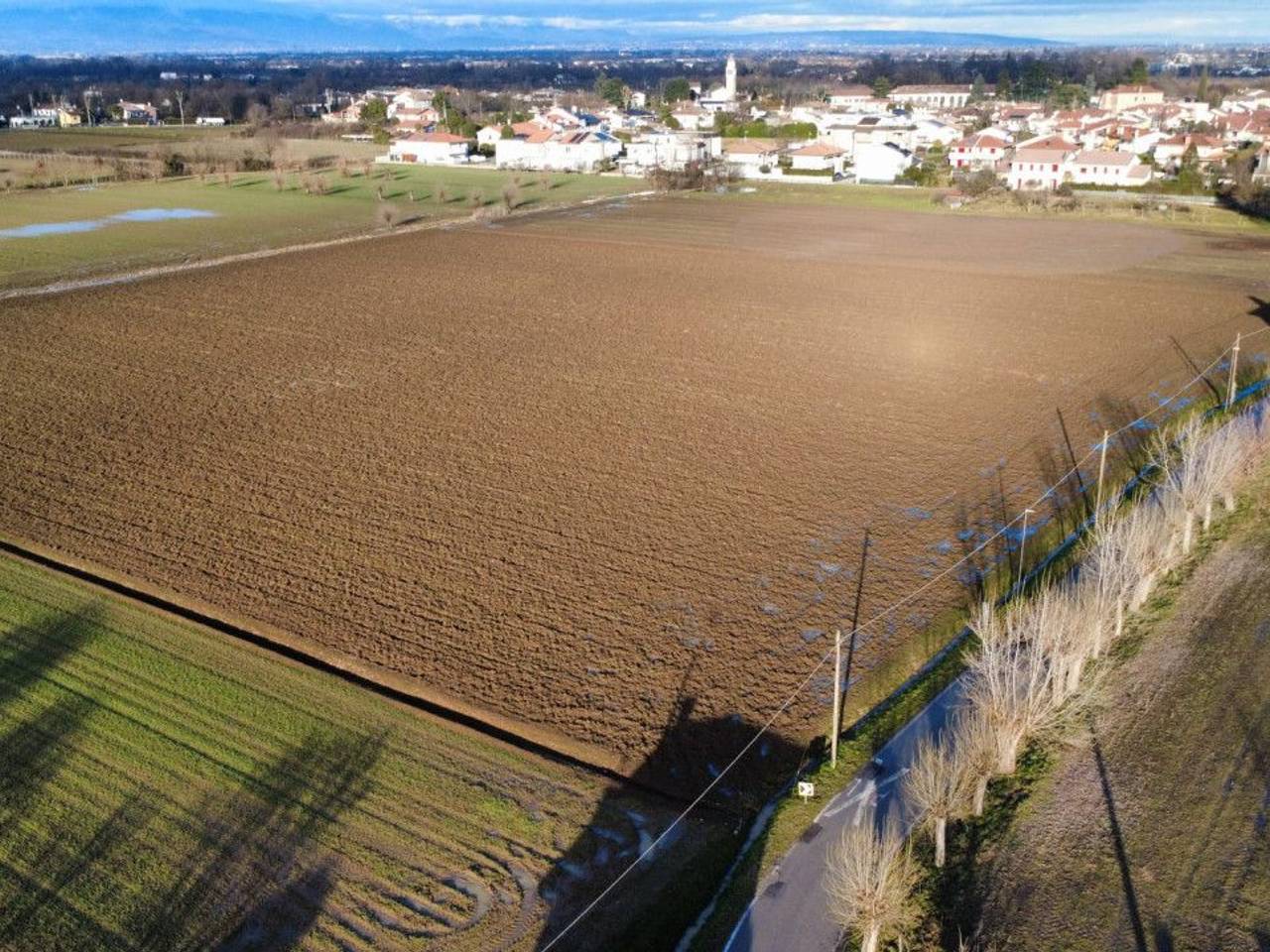 immagine annuncio 6 di 7