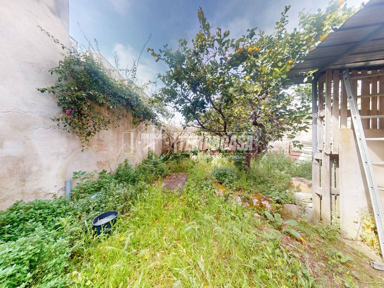 immagine annuncio 2 di 14