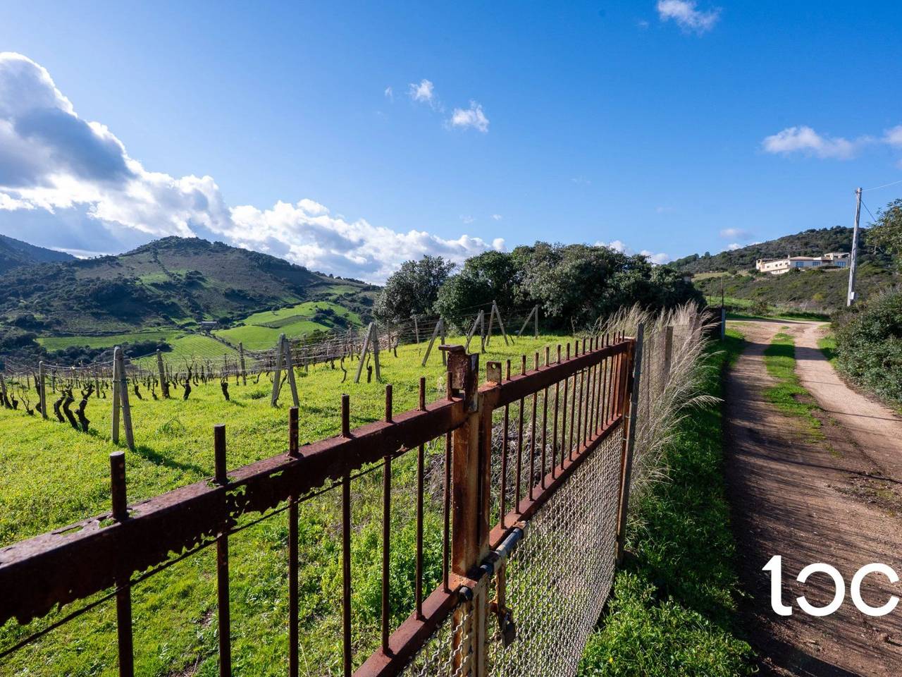 immagine annuncio 5 di 11