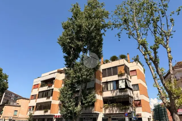 insertion image
