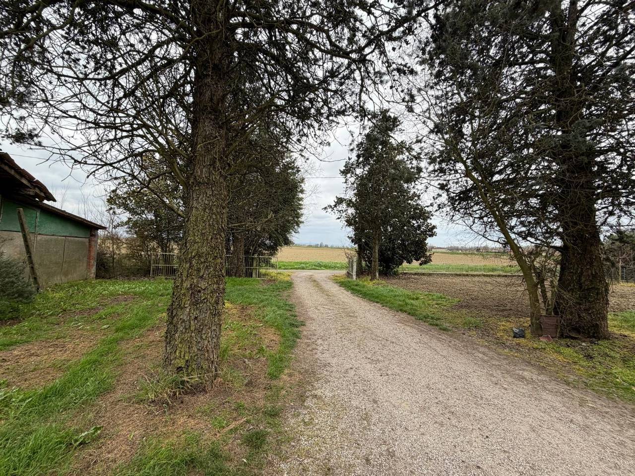 immagine annuncio 2 di 12