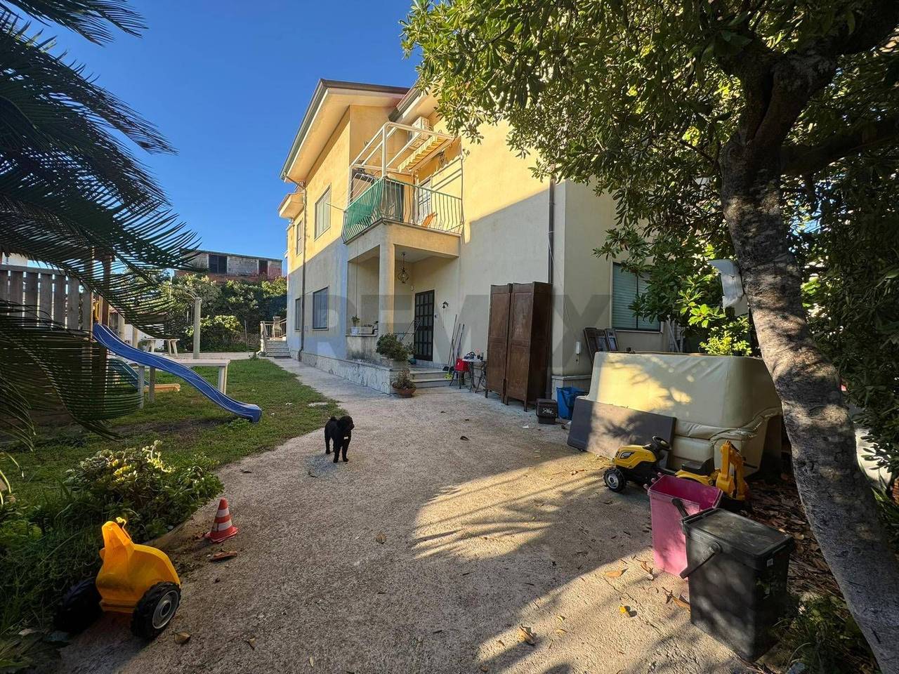 immagine annuncio 12 di 14