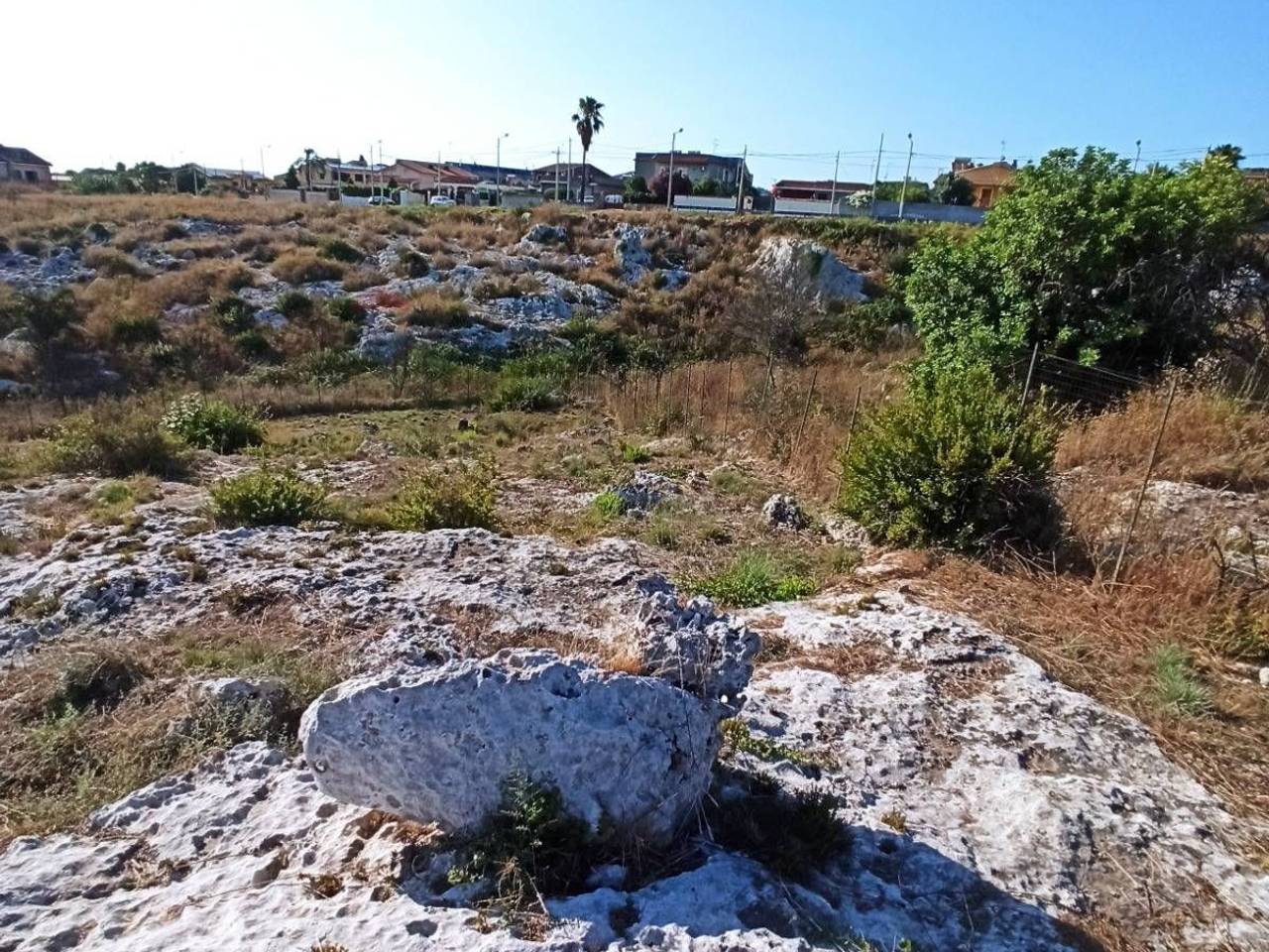 immagine annuncio 8 di 9