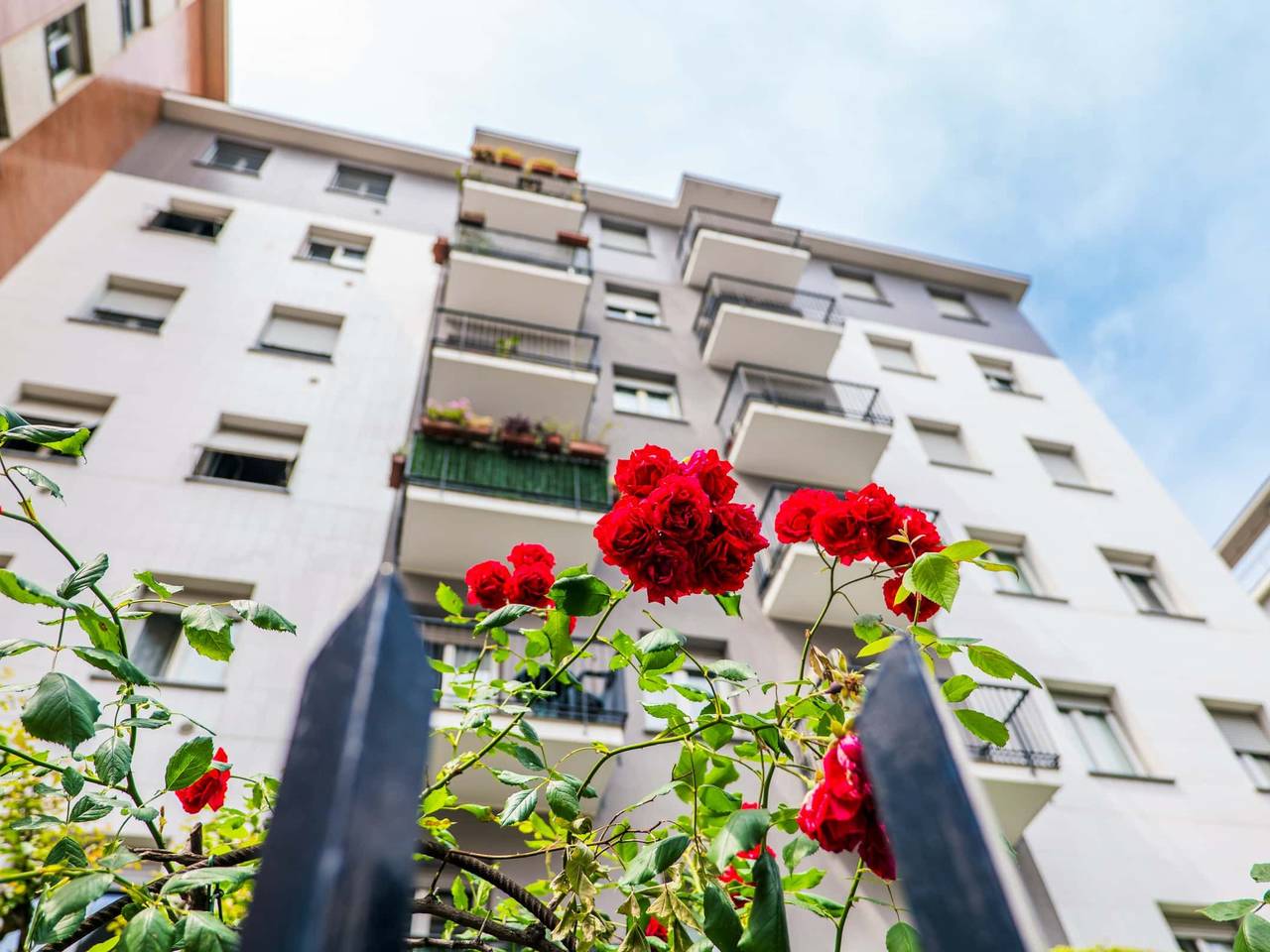 immagine annuncio 7 di 15