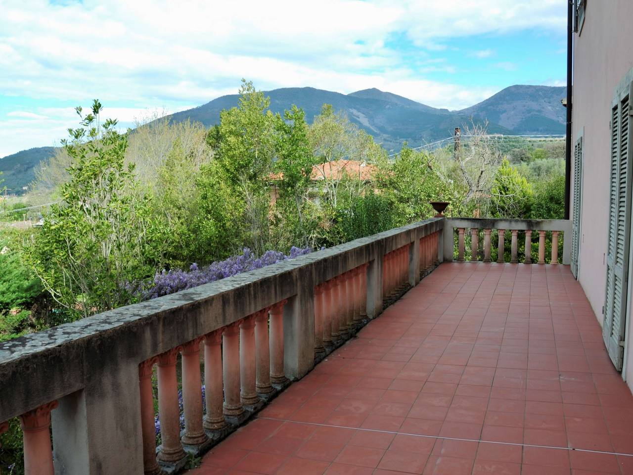 immagine annuncio 4 di 7