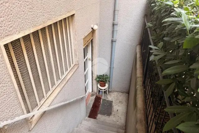 insertion image