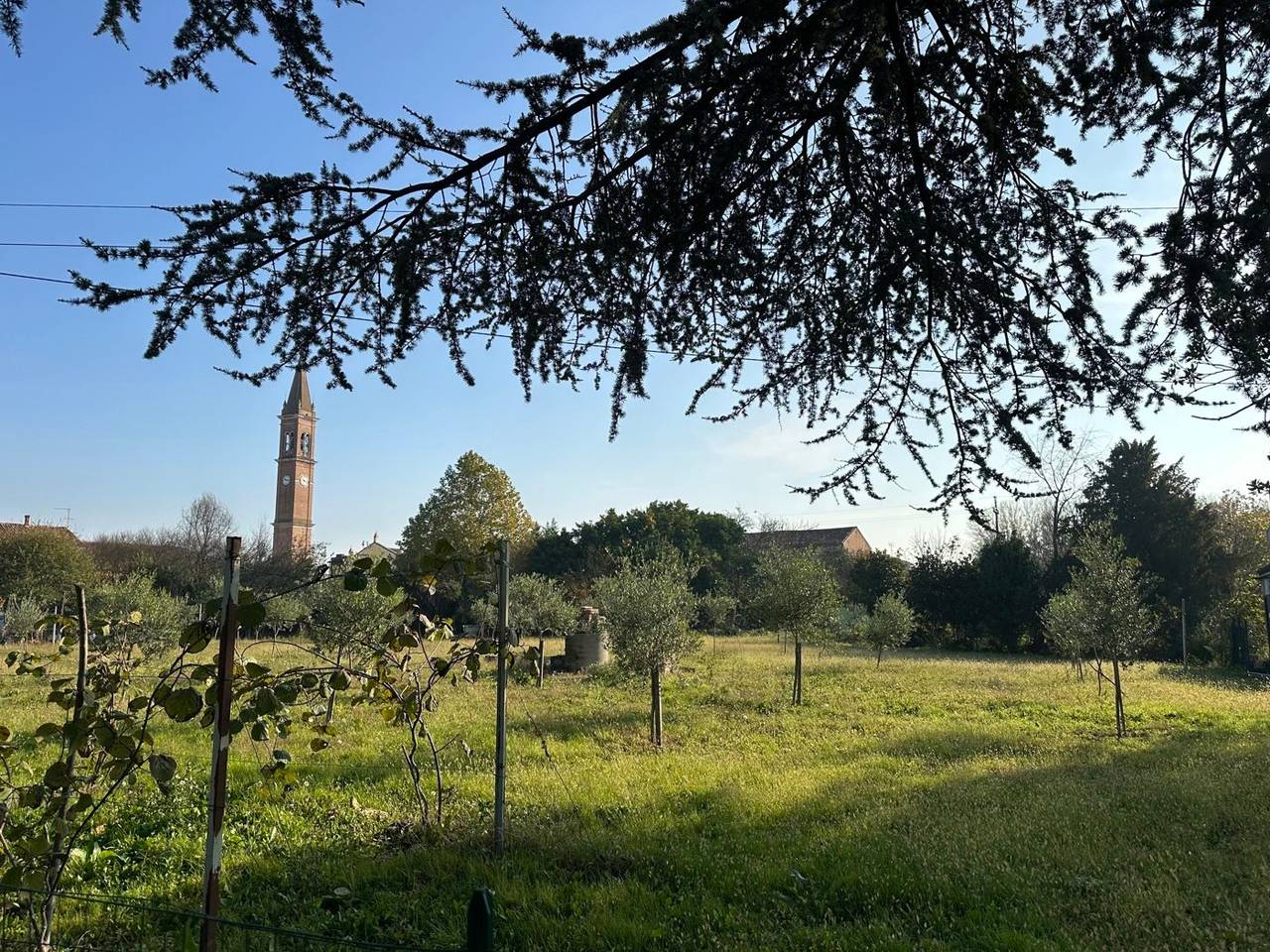 immagine annuncio 1 di 8