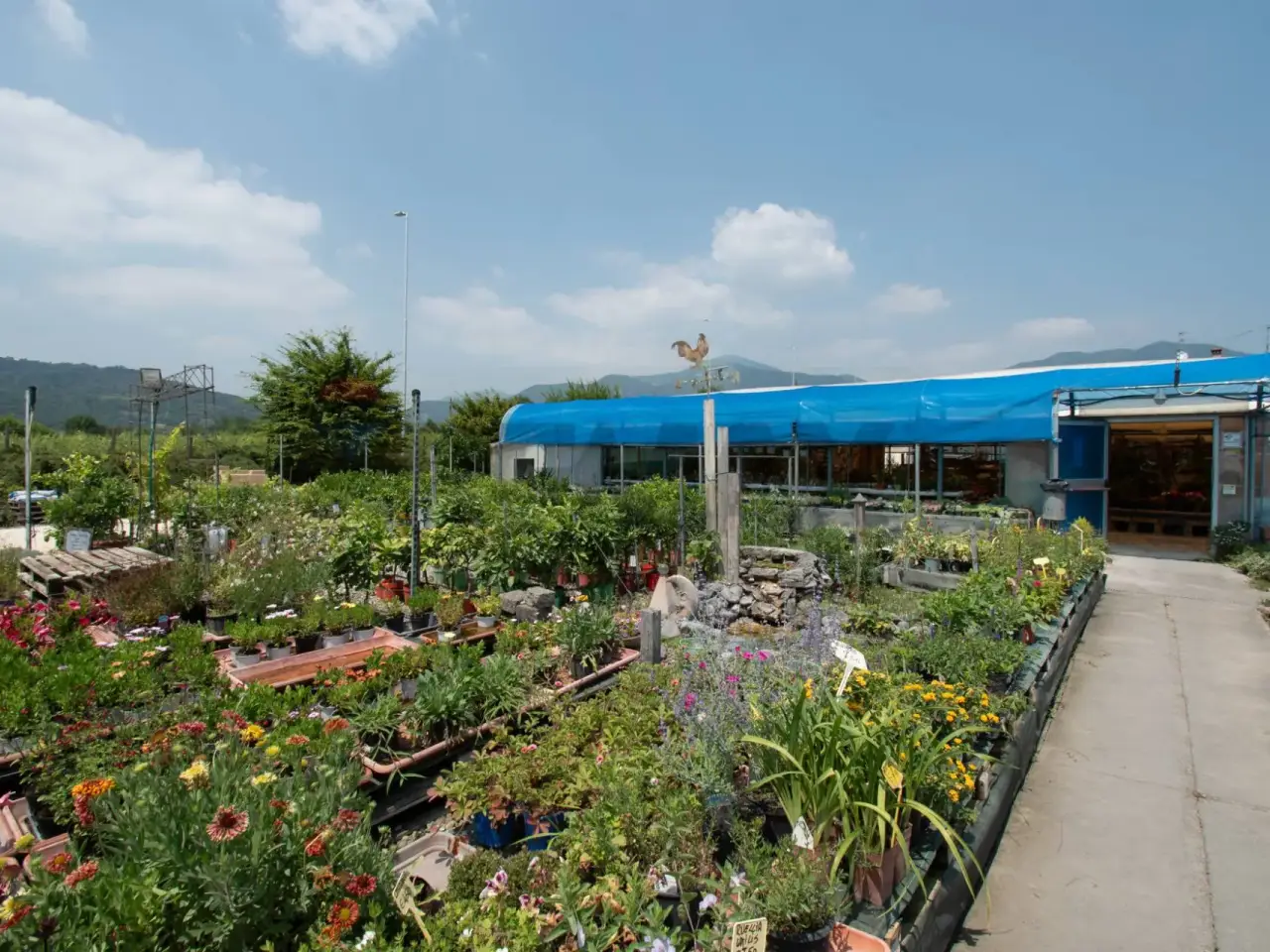 Azienda agricola in , Iseo, {3} - Foto 2