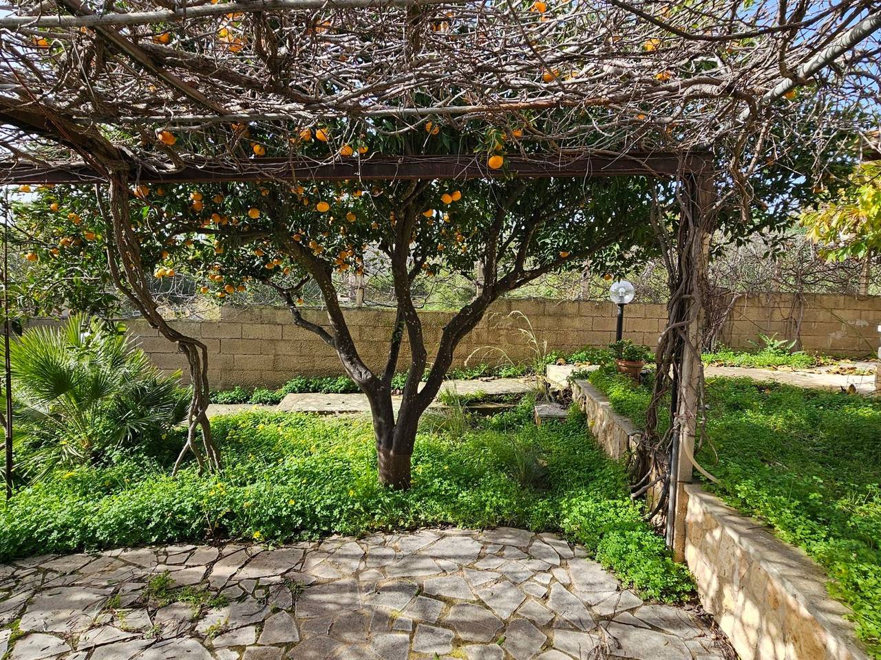 immagine annuncio 11 di 13