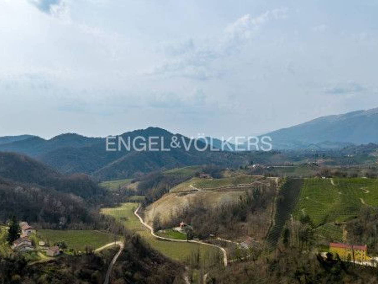 immagine annuncio 5 di 8