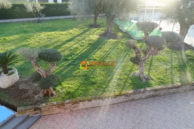 insertion image
