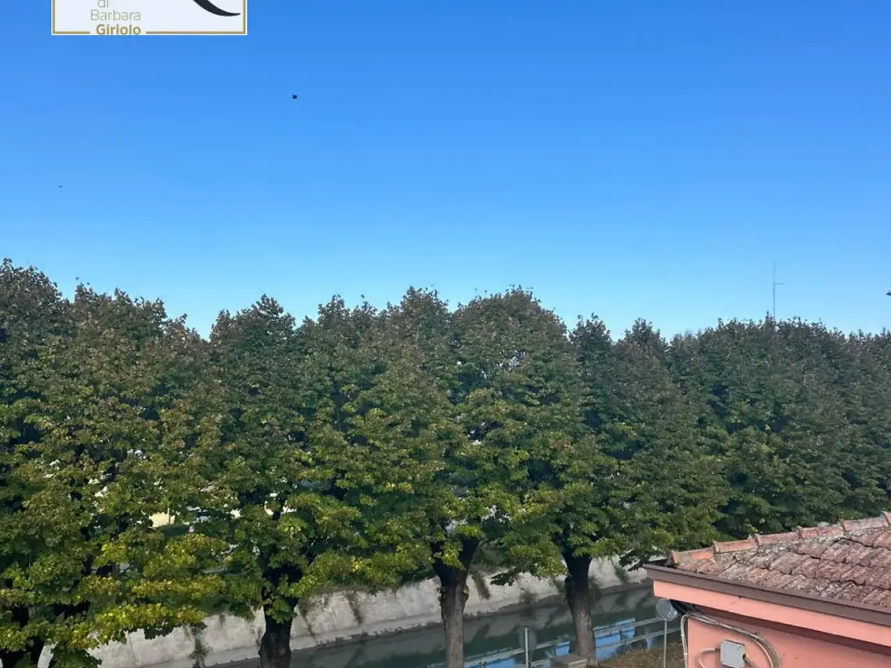 Albergo in , Badia Polesine, {3} - Foto 2