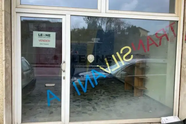 insertion image