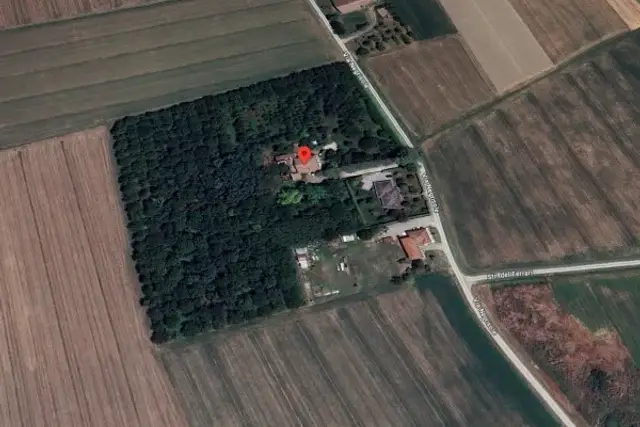 insertion image