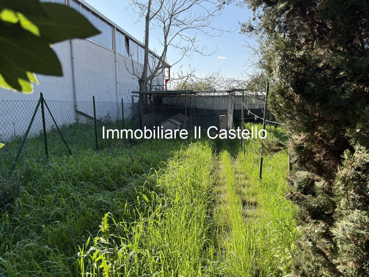 immagine annuncio 12 di 15